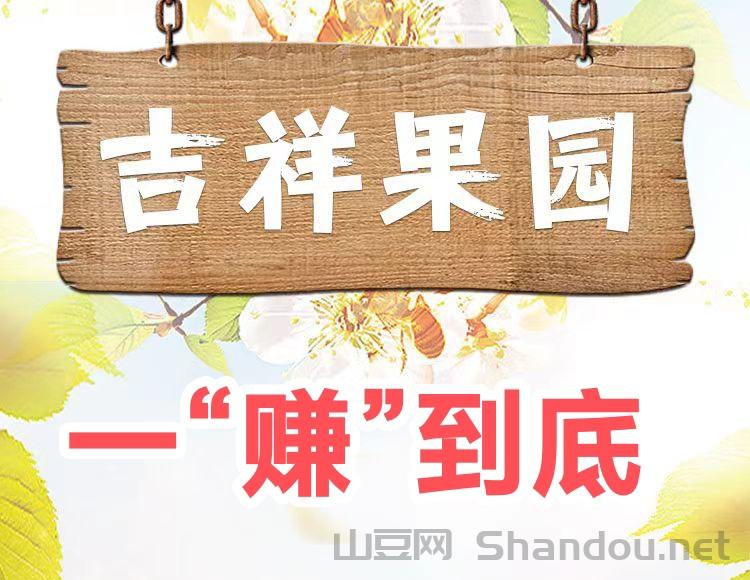 开心果园，自由种植水果游戏